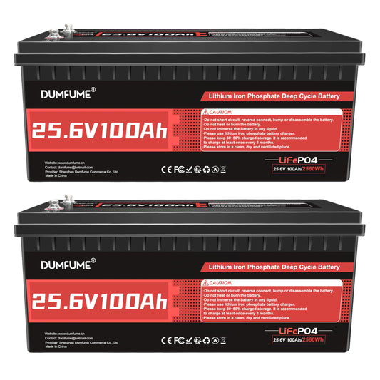 24V 100Ah Lithium LiFePO4 Battery Built-in 100A BMS Up to 15000 Cycles