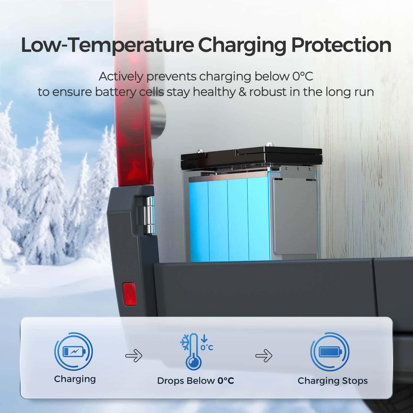 Renogy Core Mini 300Ah LiFePo4 Battery 12V Lithium Battery, Ultra-Compact