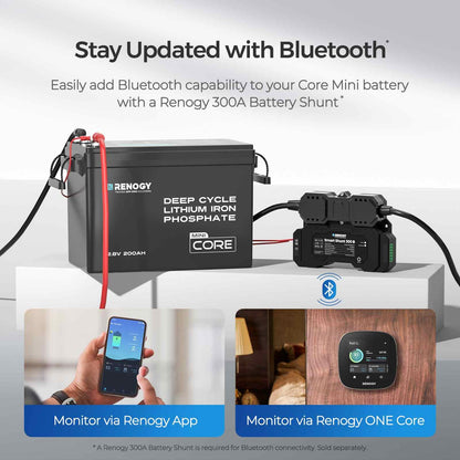 Renogy Core Mini 300Ah LiFePo4 Battery 12V Lithium Battery, Ultra-Compact