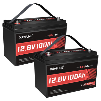 24V 100Ah Lithium LiFePO4 Battery Built-in 100A BMS Up to 15000 Cycles
