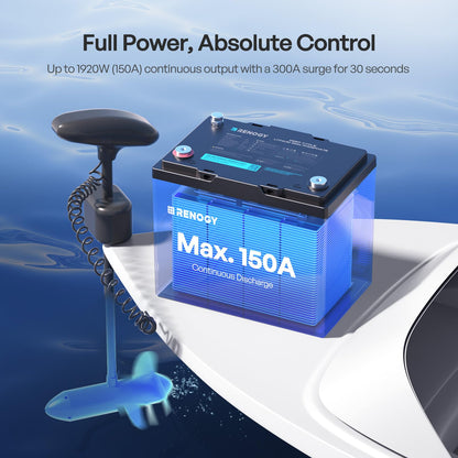 Renogy Core Mini 300Ah LiFePo4 Battery 12V Lithium Battery, Ultra-Compact