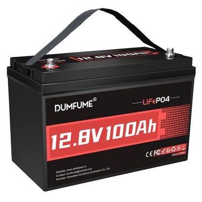 24V 100Ah Lithium LiFePO4 Battery Built-in 100A BMS Up to 15000 Cycles