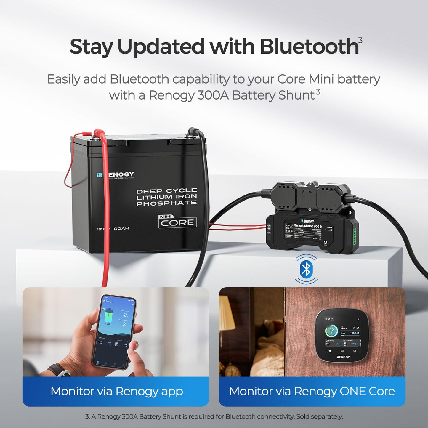 Renogy Core Mini 300Ah LiFePo4 Battery 12V Lithium Battery, Ultra-Compact