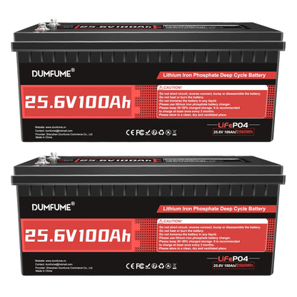 24V 100Ah Lithium LiFePO4 Battery Built-in 100A BMS Up to 15000 Cycles
