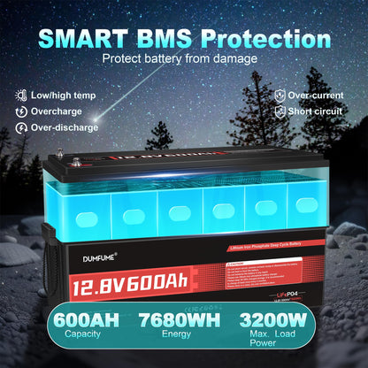 24V 100Ah Lithium LiFePO4 Battery Built-in 100A BMS Up to 15000 Cycles