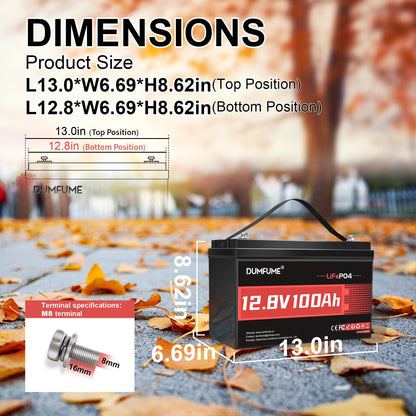 24V 100Ah Lithium LiFePO4 Battery Built-in 100A BMS Up to 15000 Cycles