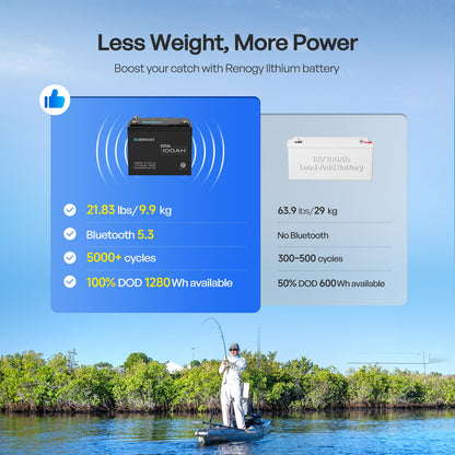 Renogy Core Mini 300Ah LiFePo4 Battery 12V Lithium Battery, Ultra-Compact